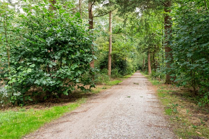 Foto 51 van Parklaan 14