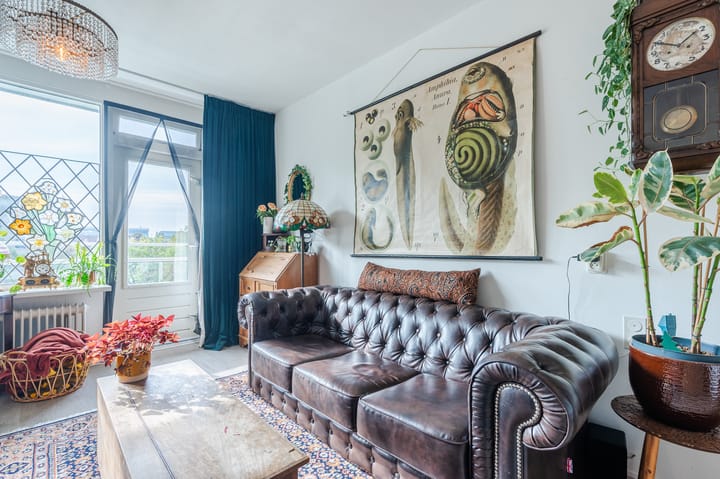 Foto 3 van Boerhaavelaan 71