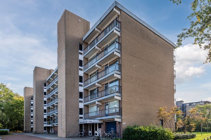 Foto 5 van Boerhaavelaan 71