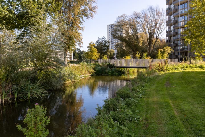 Foto 33 van Spijkerboorweg 241