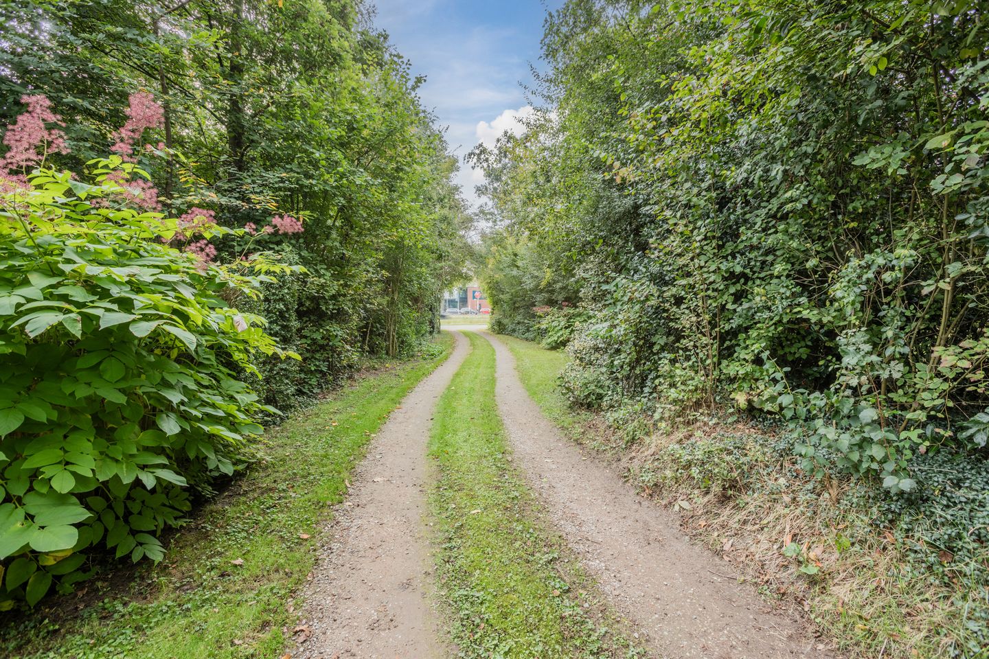 Foto 4 van Rollecate 30