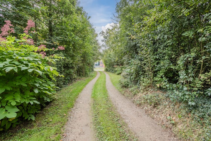 Foto 4 van Rollecate 30