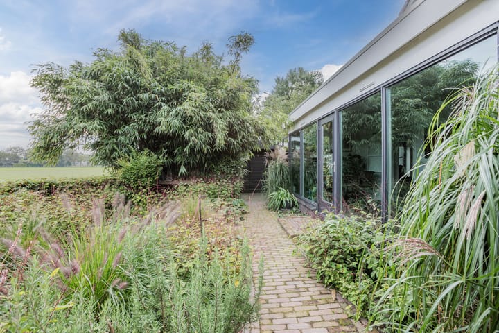 Photo 69 of Rollecate 30