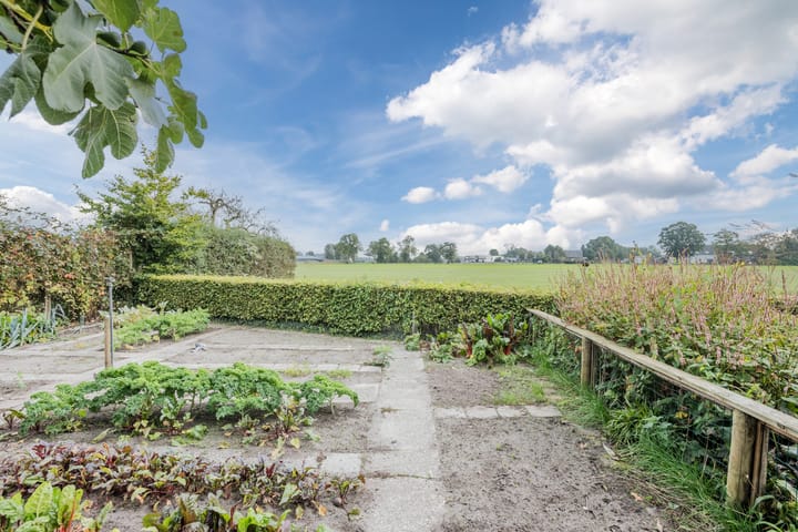 Photo 72 of Rollecate 30