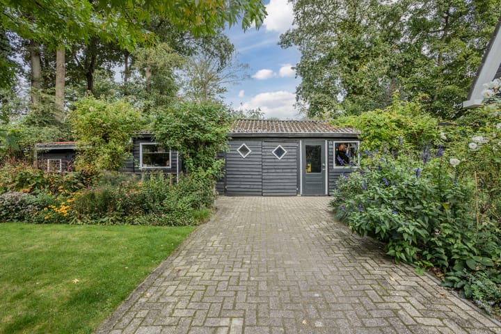 Photo 53 of Rollecate 30