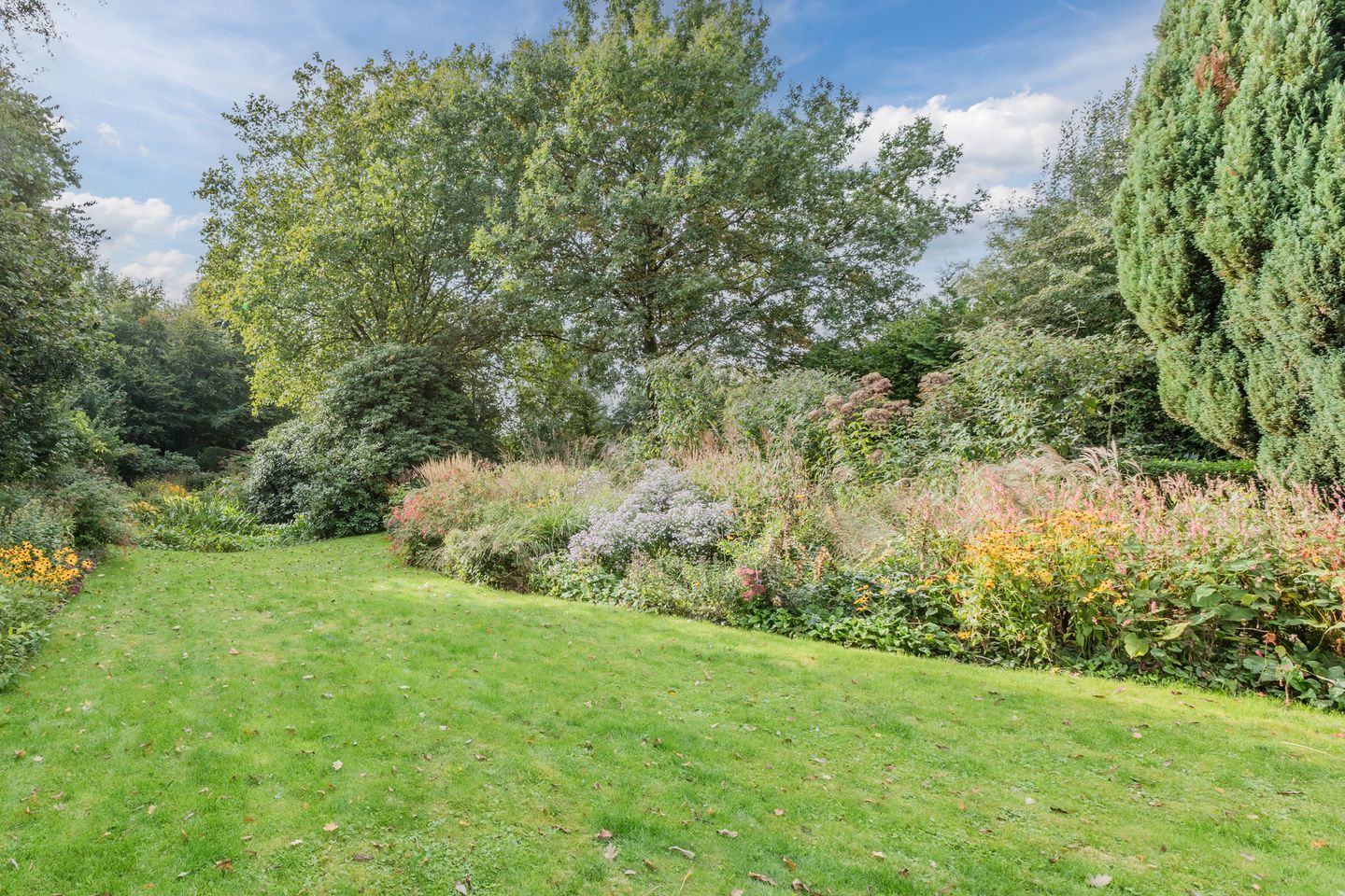 Foto 80 van Rollecate 30