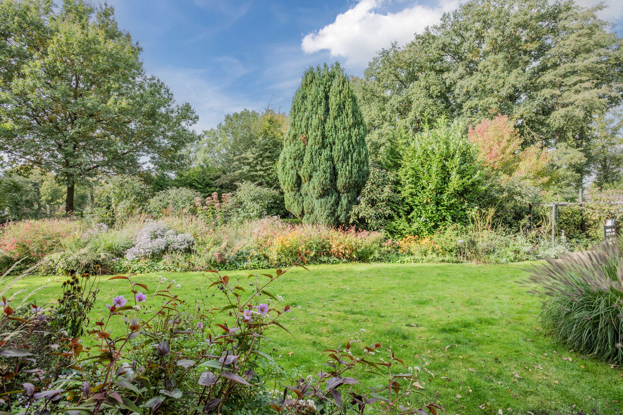 Foto 81 van Rollecate 30