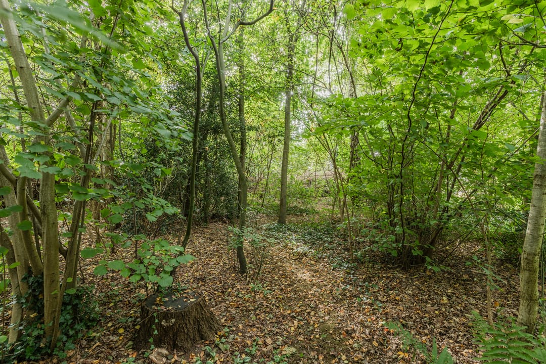 Foto 83 van Rollecate 30