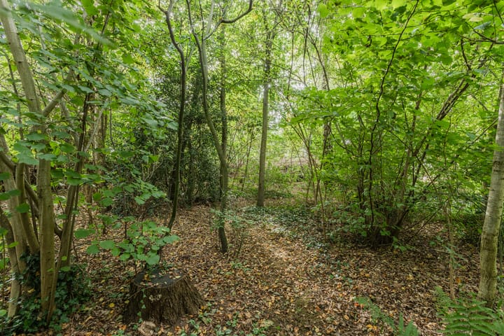 Photo 83 of Rollecate 30