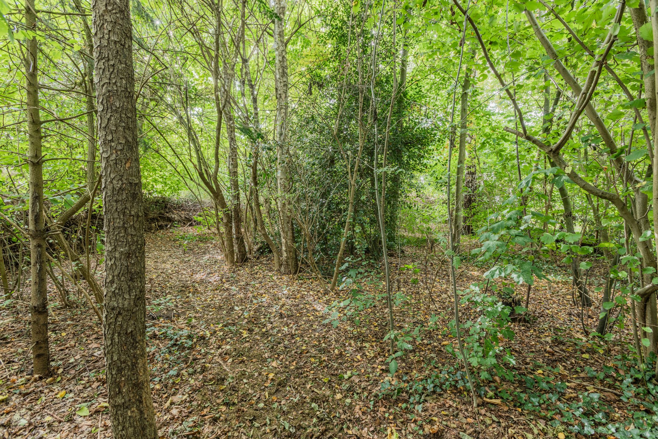 Foto 84 van Rollecate 30