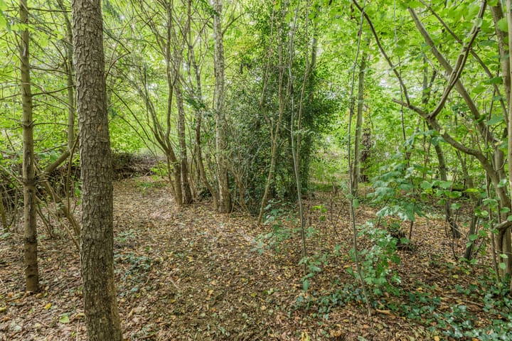 Photo 84 of Rollecate 30