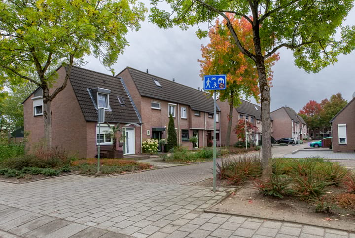 Foto 2 van Nautiluserf 3