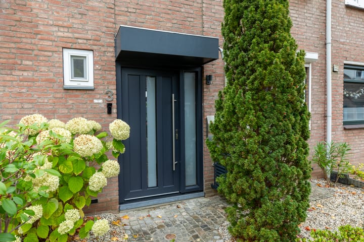 Foto 3 van Nautiluserf 3