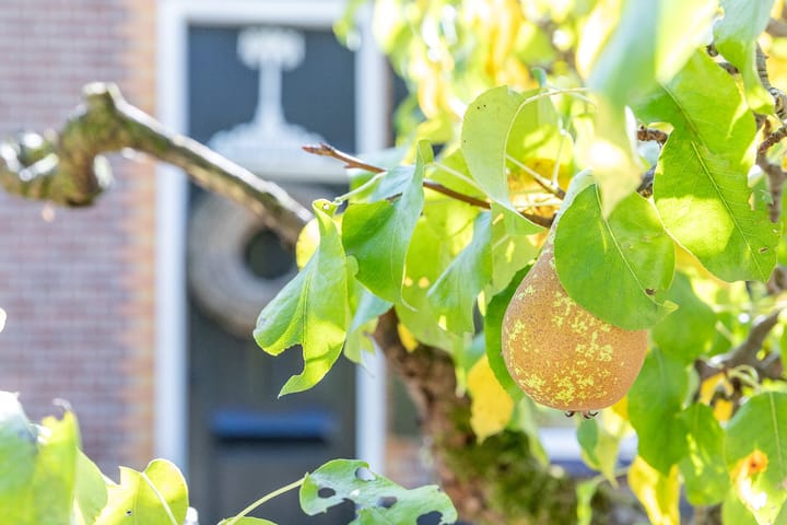 Foto 69 van Keizerstraat 58