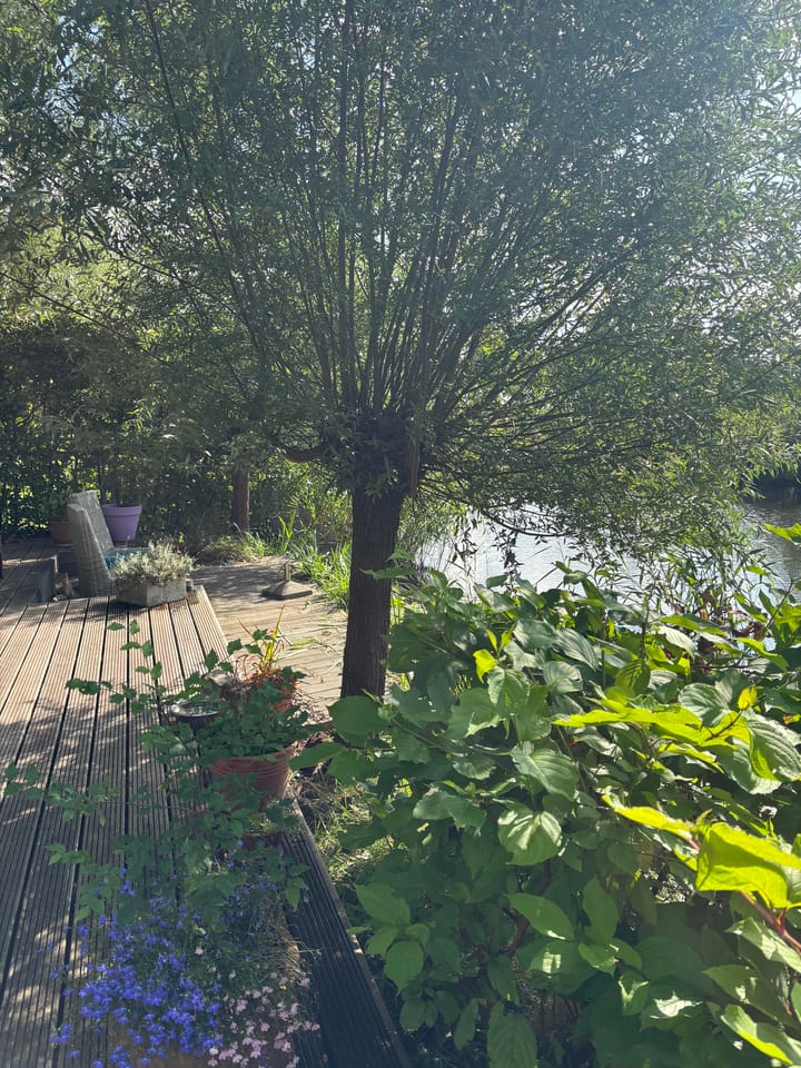 Foto 35 van Blankenbergestraat 4