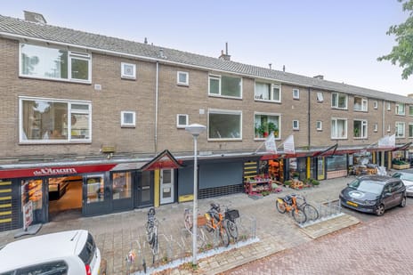 Willem en Marialaan thumbnail