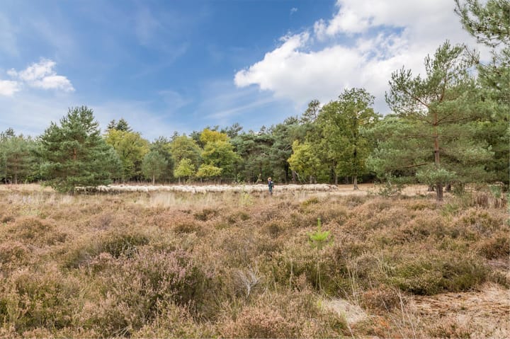 Foto 63 van Witbrantlaan West 29