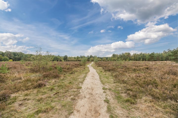 Foto 64 van Witbrantlaan West 29