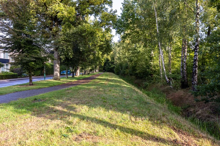 Foto 35 van Venushof 2