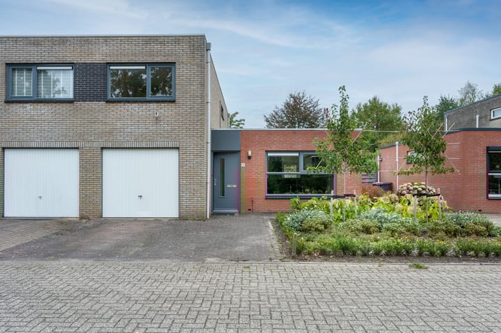 Foto 1 van Sneeuwuil 65