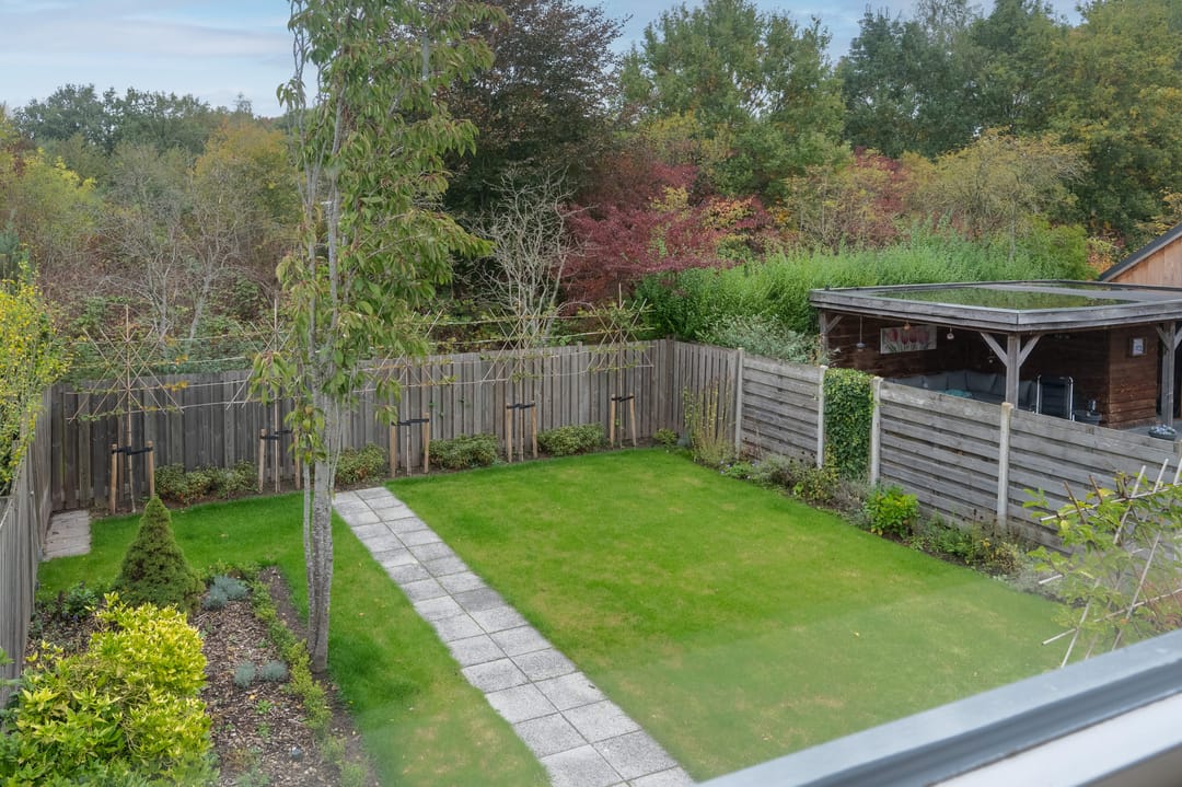 Foto 2 van Sneeuwuil 65