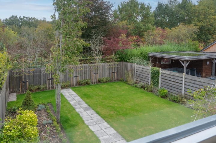 Foto 2 van Sneeuwuil 65