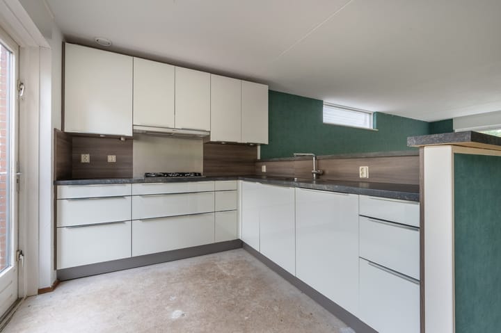 Foto 3 van Sneeuwuil 65