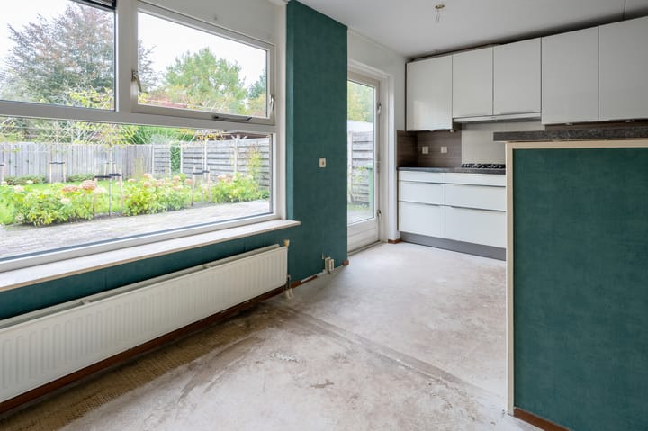 Foto 4 van Sneeuwuil 65