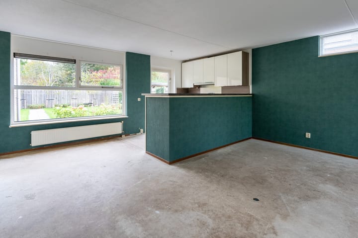 Foto 5 van Sneeuwuil 65