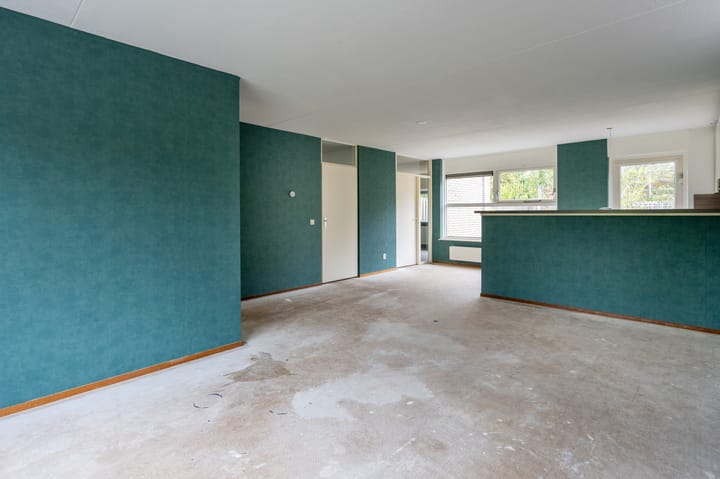 Foto 6 van Sneeuwuil 65