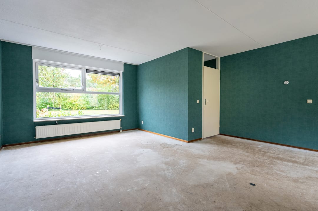 Foto 7 van Sneeuwuil 65