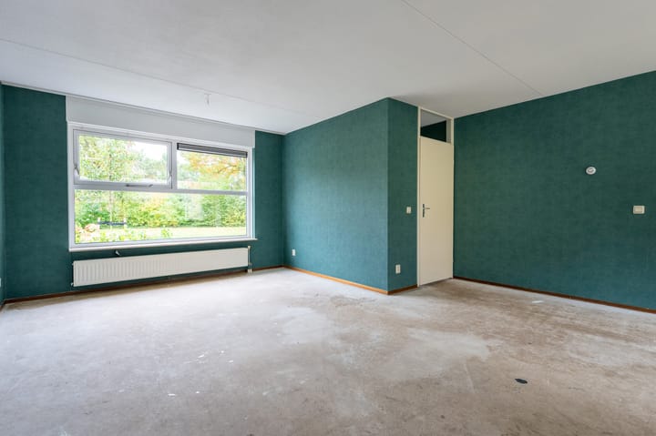 Foto 7 van Sneeuwuil 65