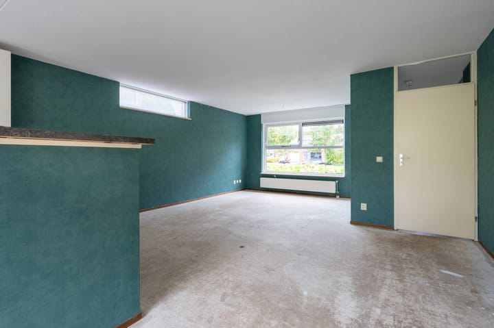 Foto 8 van Sneeuwuil 65