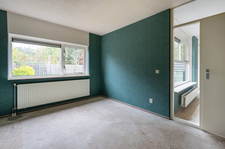 Foto 11 van Sneeuwuil 65