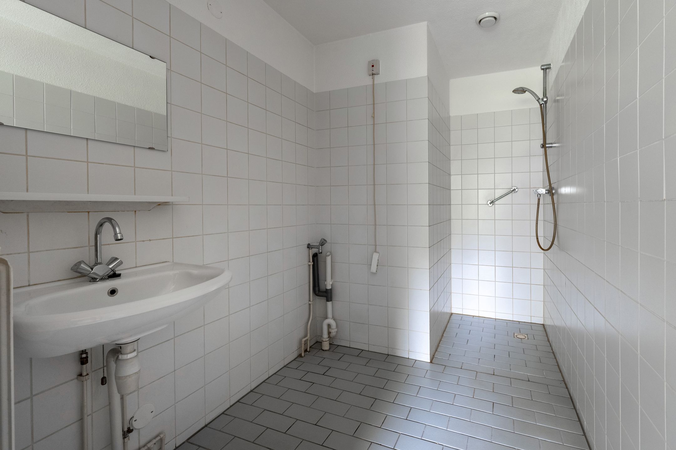 Foto 12 van Sneeuwuil 65