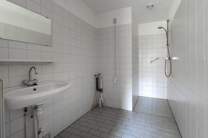 Foto 12 van Sneeuwuil 65