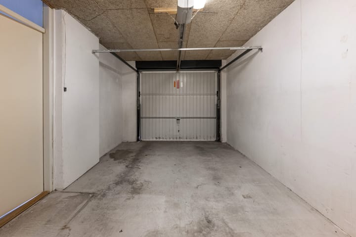 Foto 13 van Sneeuwuil 65