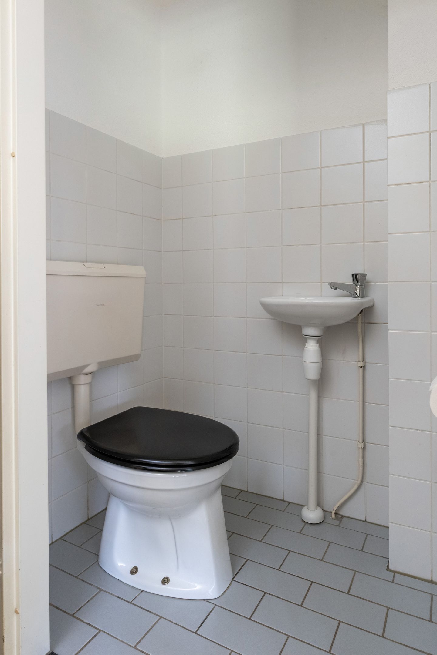 Foto 14 van Sneeuwuil 65