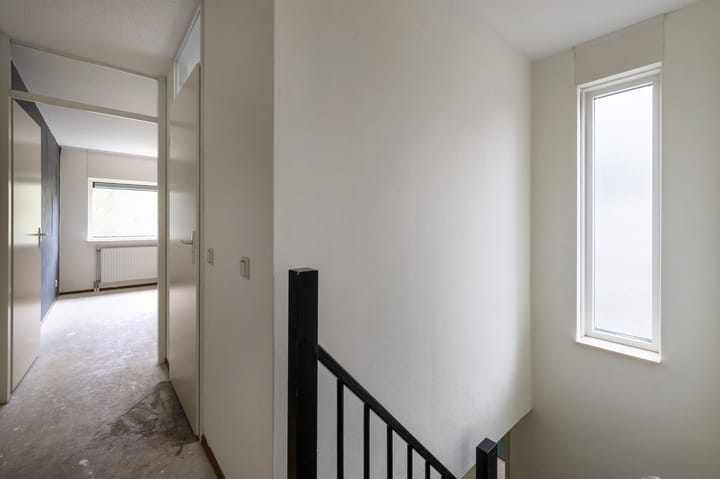 Foto 16 van Sneeuwuil 65