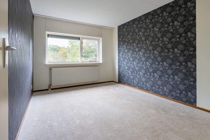 Foto 18 van Sneeuwuil 65