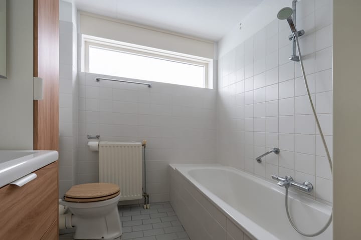 Foto 19 van Sneeuwuil 65