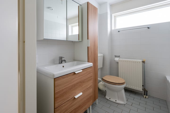 Foto 20 van Sneeuwuil 65