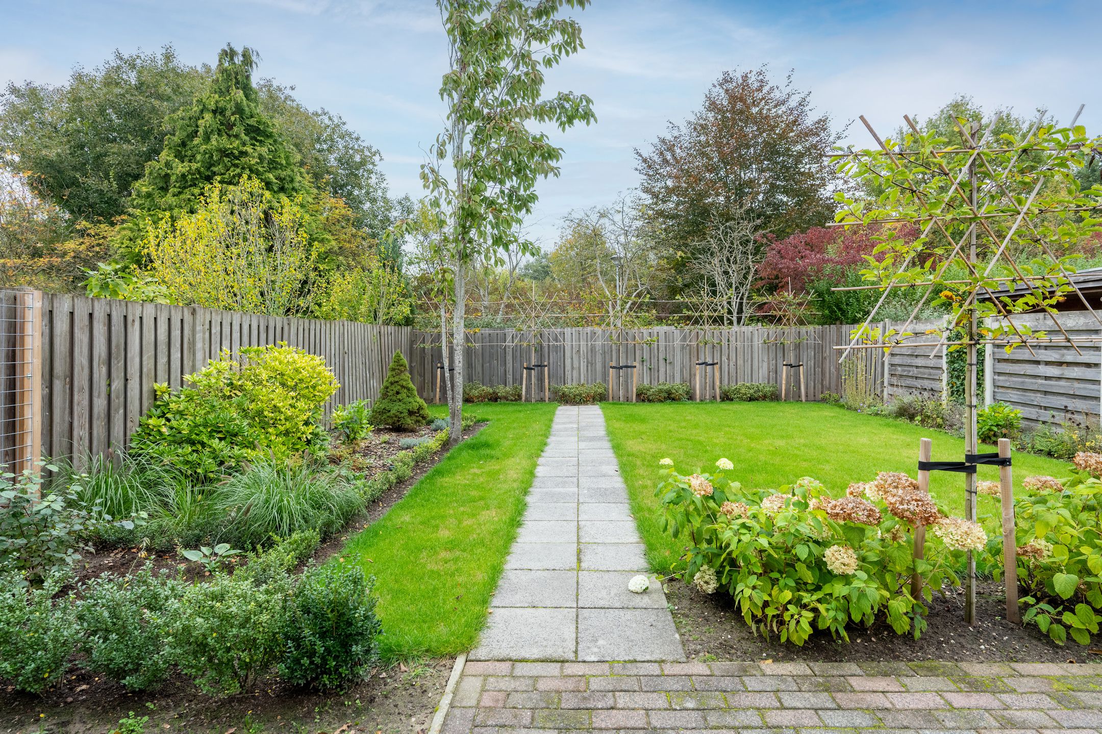 Foto 24 van Sneeuwuil 65