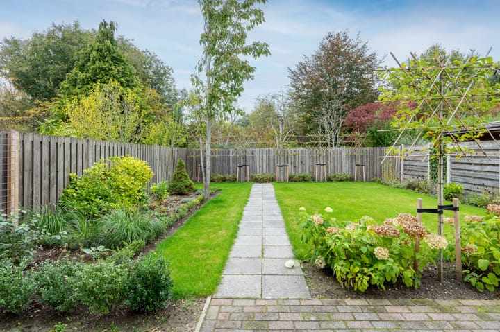 Foto 24 van Sneeuwuil 65