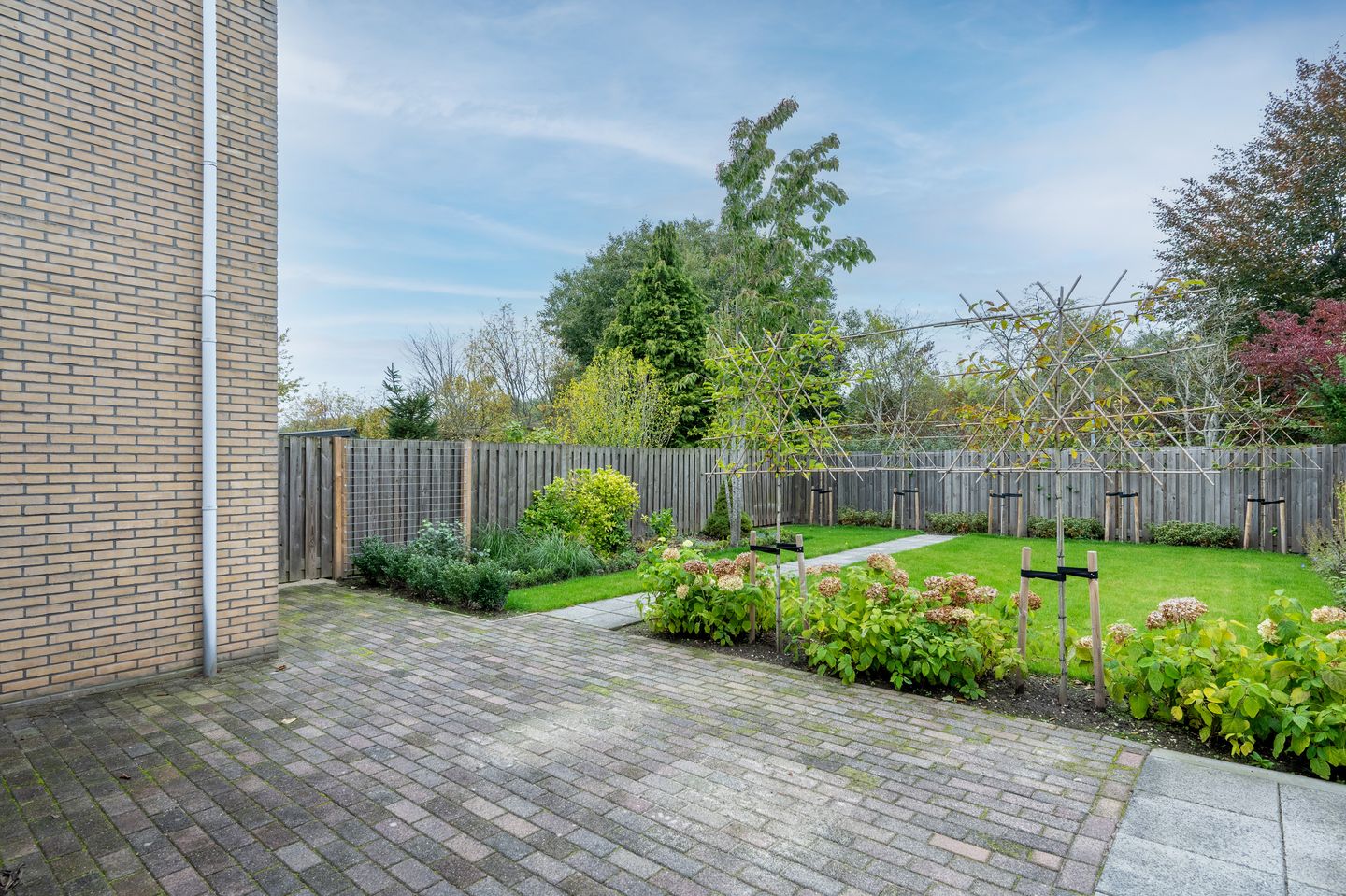 Foto 25 van Sneeuwuil 65