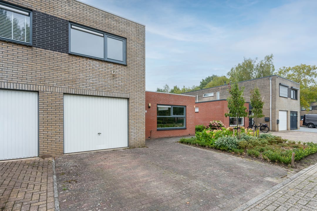 Foto 26 van Sneeuwuil 65