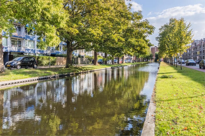 Foto 4 van Statensingel 101