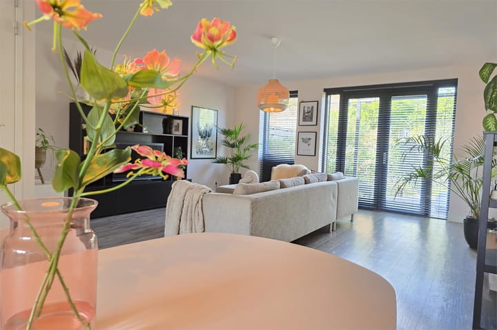 Foto 1 van Ringoever 25