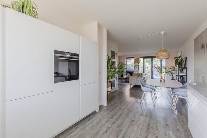 Foto 10 van Ringoever 25