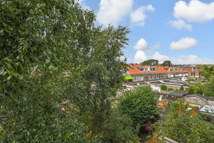 Foto 25 van Jaarsveldstraat 103